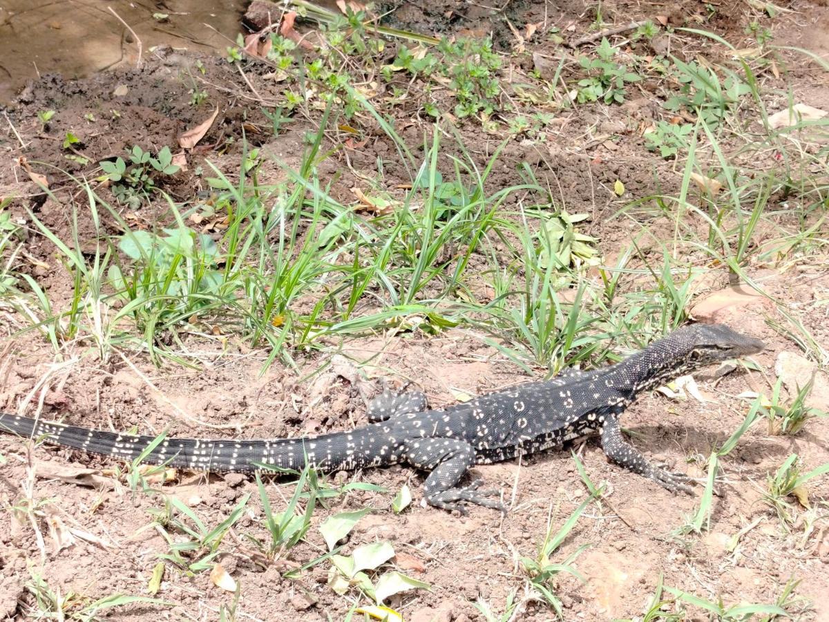 Priyanna Guest, Forest View Polonnaruwa Luaran gambar