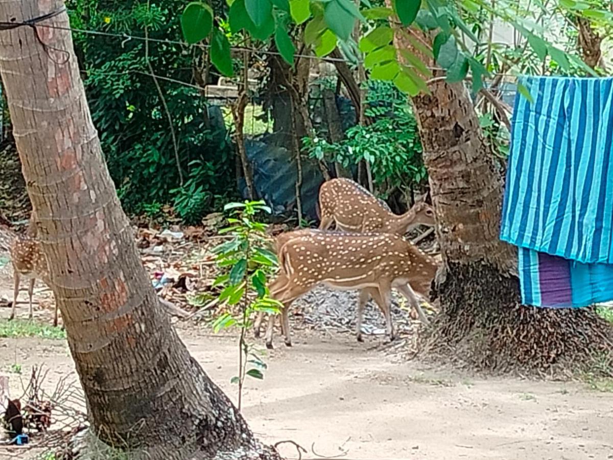 Priyanna Guest, Forest View Polonnaruwa Luaran gambar