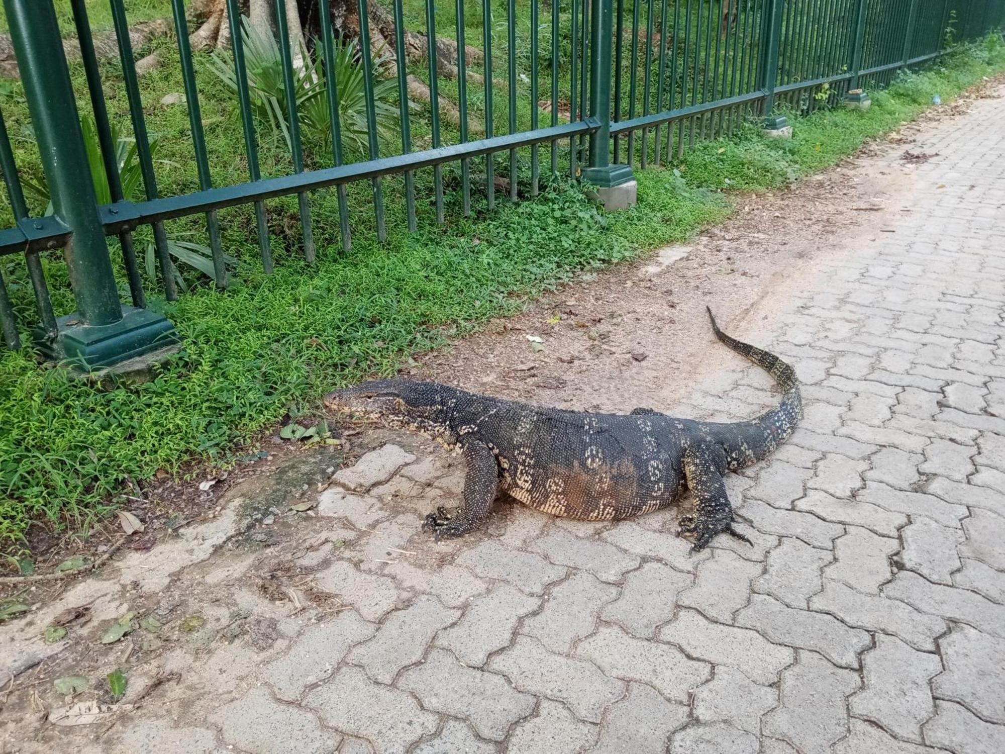 Priyanna Guest, Forest View Polonnaruwa Bilik gambar
